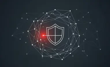 Why Is Low-Hanging Fruit Still the Top Cybersecurity Risk?