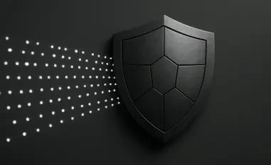 Can Secure by Design Principles Eliminate Vulnerability Classes?